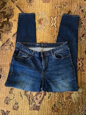 Old Navy Dark Indigo Skinny Jeans